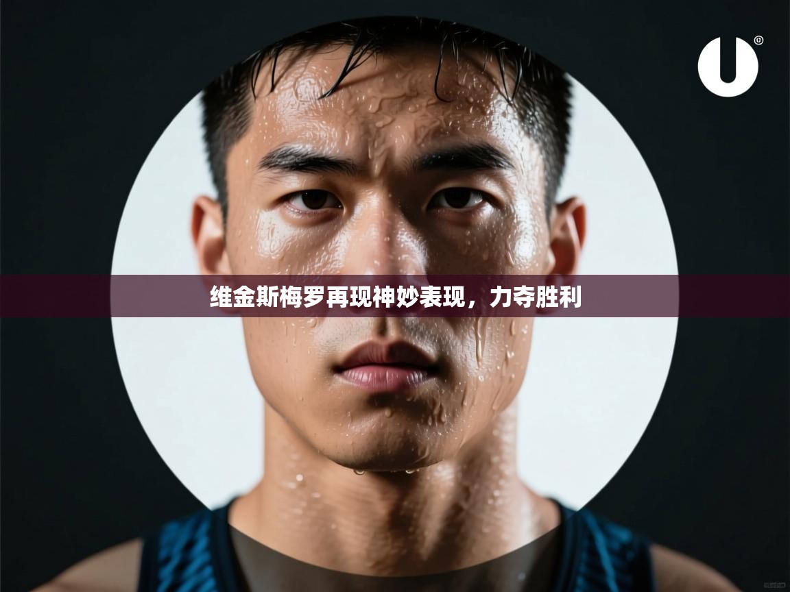 维金斯梅罗再现神妙表现，力夺胜利  第2张