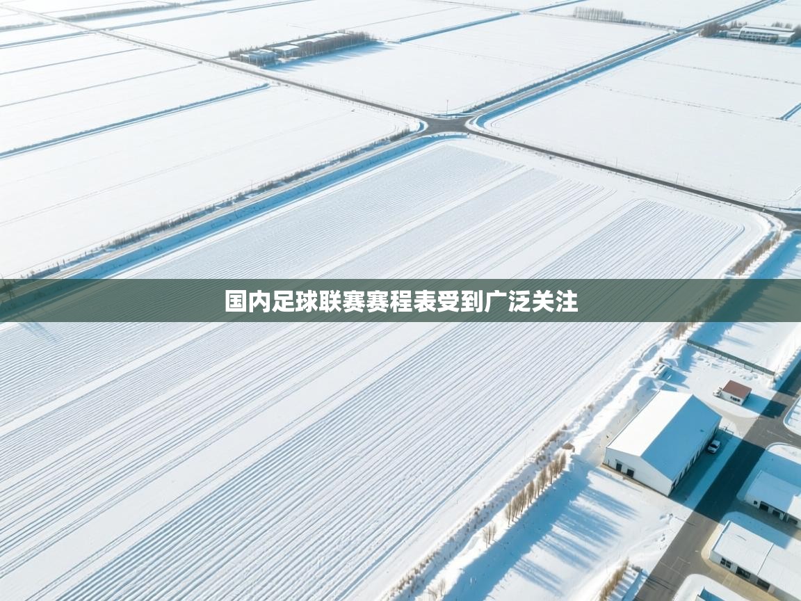 国内足球联赛赛程表受到广泛关注 第2张