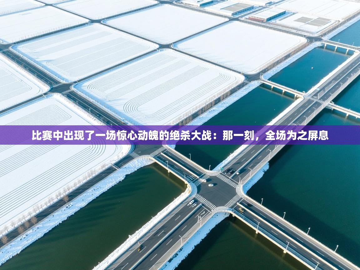 比赛中出现了一场惊心动魄的绝杀大战：那一刻，全场为之屏息  第1张