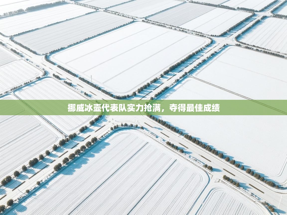 挪威冰壶代表队实力抢满,夺得最佳成绩 第1张